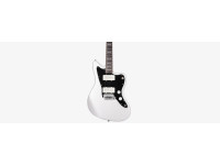 Larry Carlton J3 Silver Larry Carlton J3 Silver